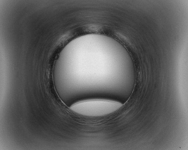 X0000085300739200703091431