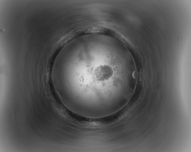 X0000085300741200703091431