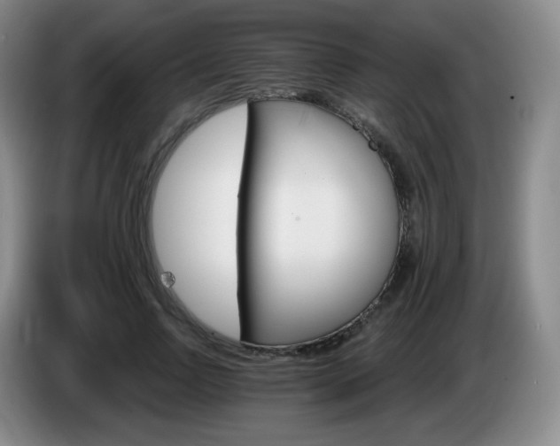 X0000085300742200703091431