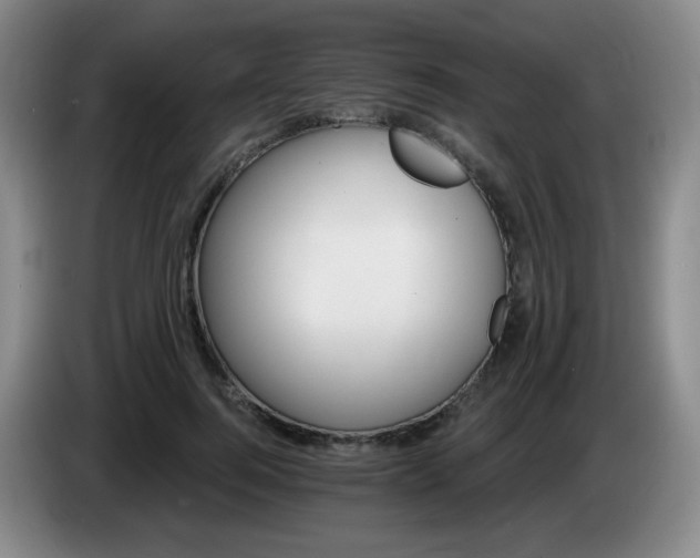 X0000085300744200703091431