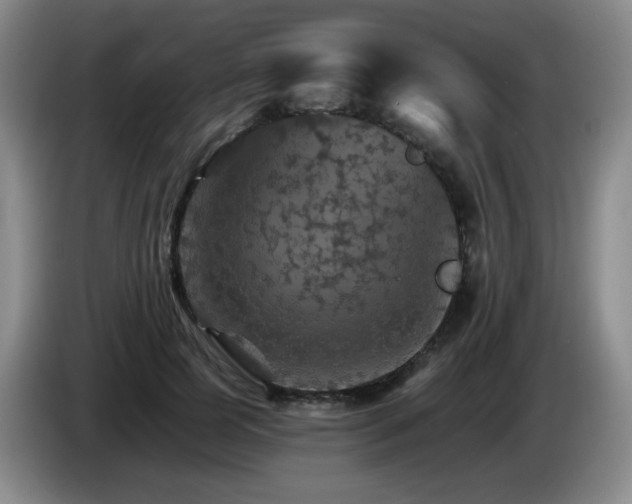 X0000085300745200703091431