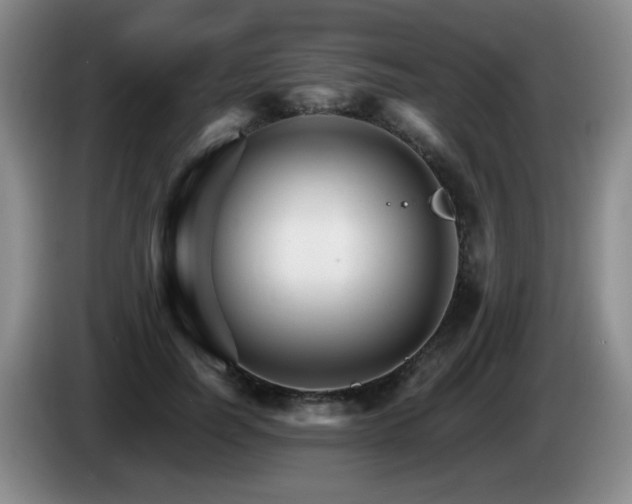 X0000085300746200703091431