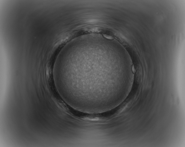 X0000085300747200703091431