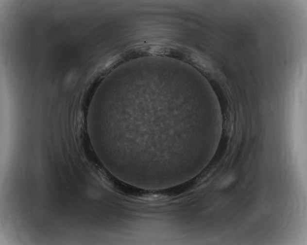 X0000085300748200703091431