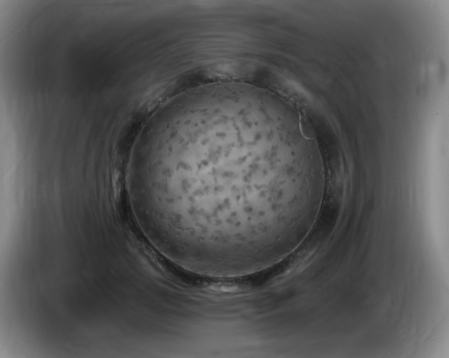 X0000085300749200703091431