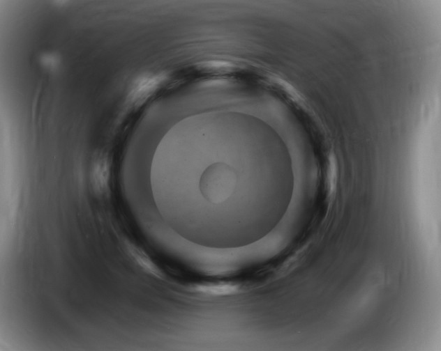 X0000085300750200703091431