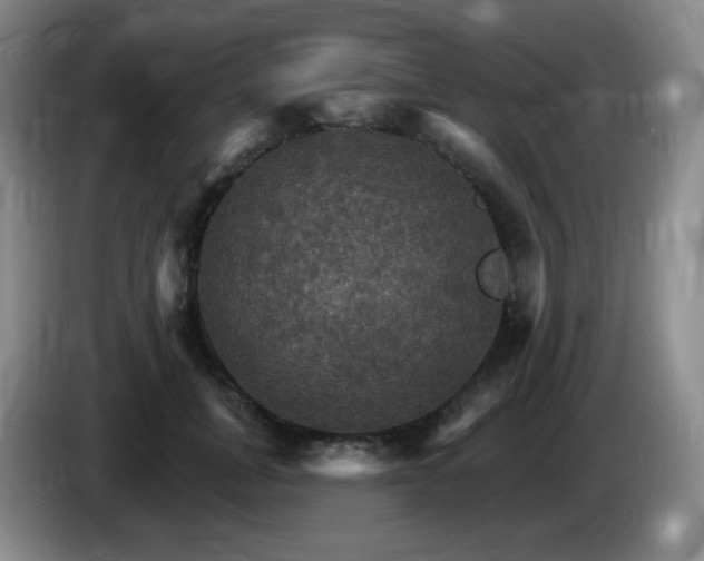 X0000085300751200703091431