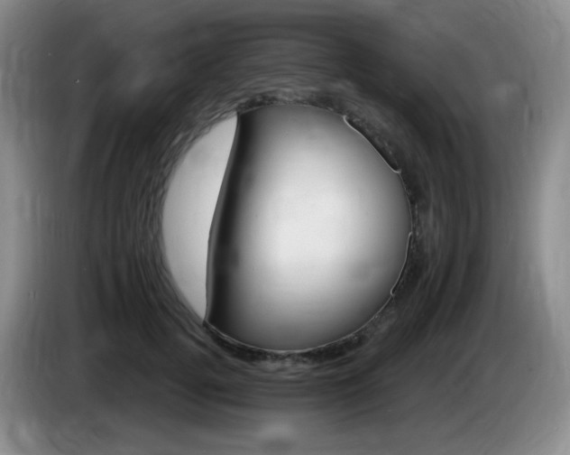 X0000085300752200703091431