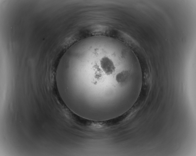 X0000085300753200703091431