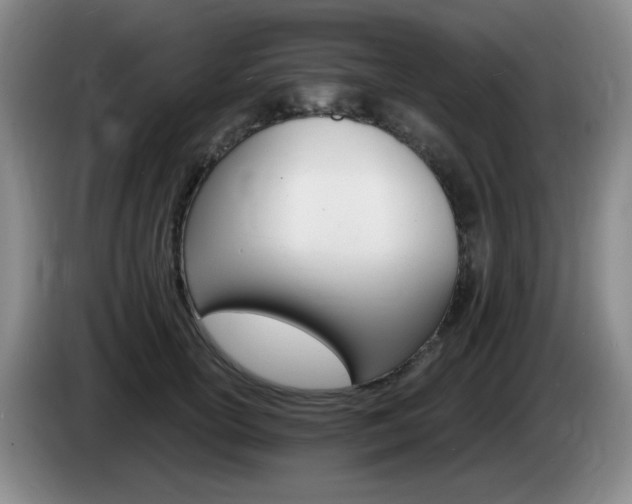 X0000085300754200703091432