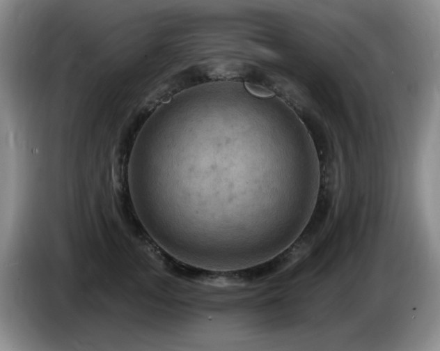 X0000085300755200703091432