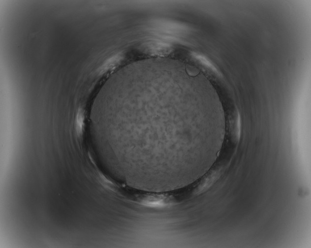 X0000085300757200703091432