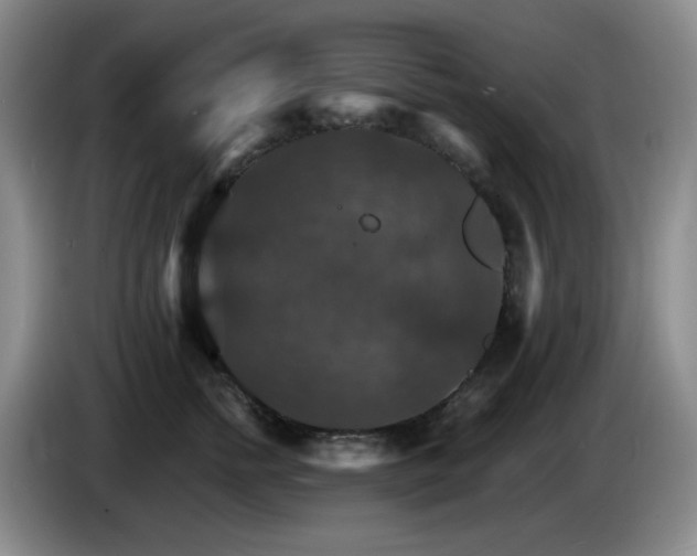 X0000085300758200703091432