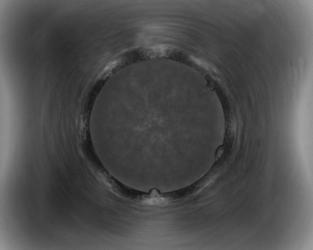 X0000085300759200703091432