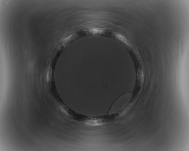 X0000085300760200703091432