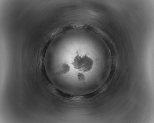 X0000085300761200703091432