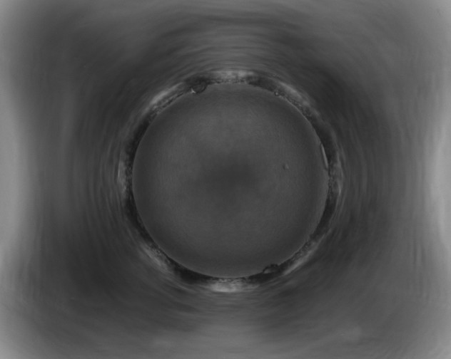 X0000085300762200703091432