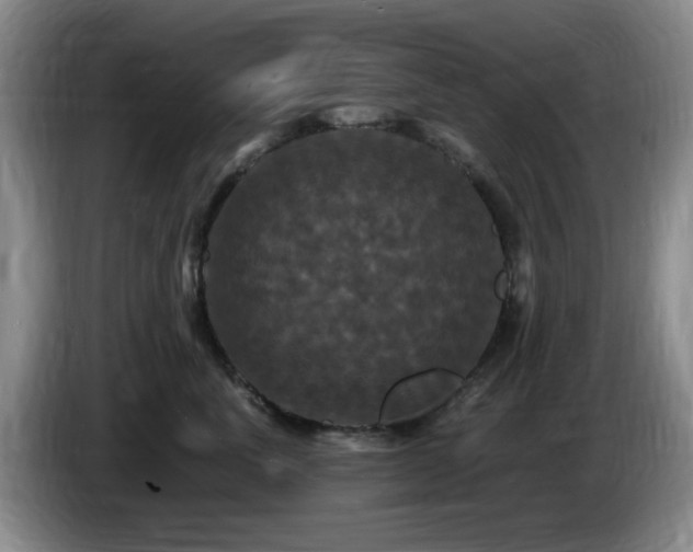 X0000085300763200703091432