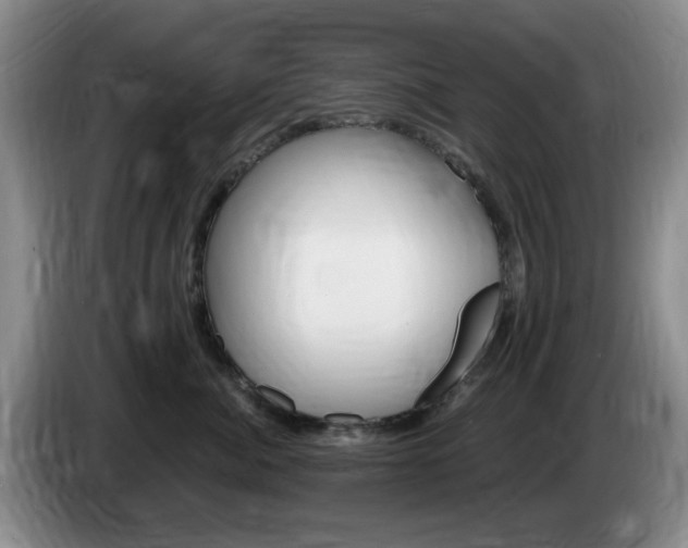 X0000085300764200703091432