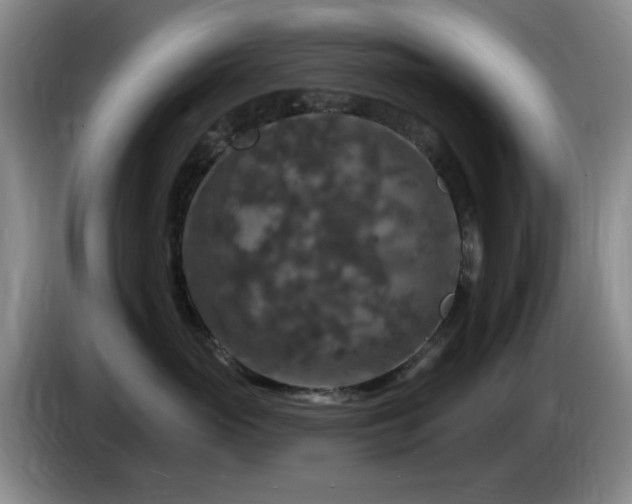 X0000085300765200703091432