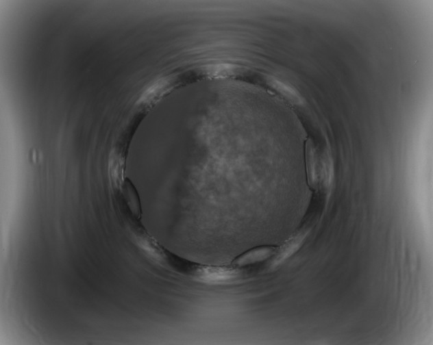 X0000085300766200703091432