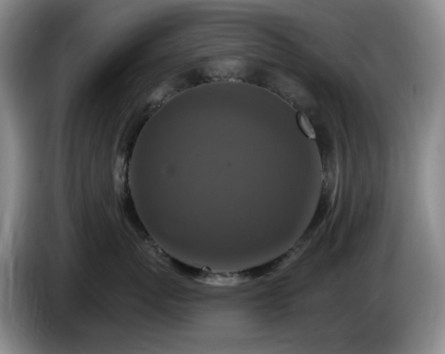 X0000085300767200703091432