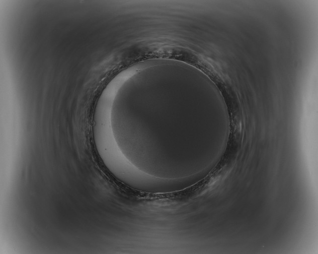 X0000085300769200703091431