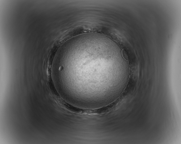 X0000085300770200703091431