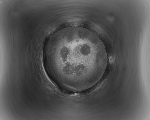 X0000085300771200703091431