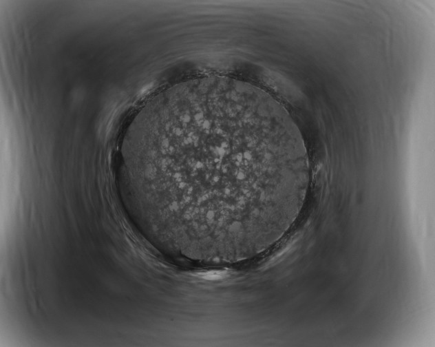 X0000085300772200703091431