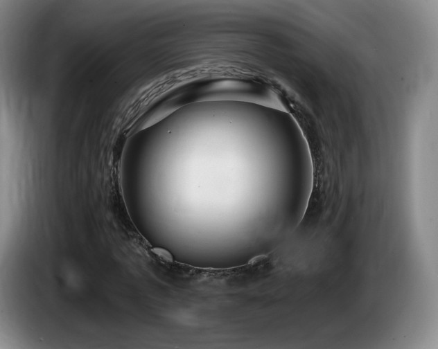 X0000085300773200703091431