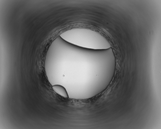 X0000085300774200703091431