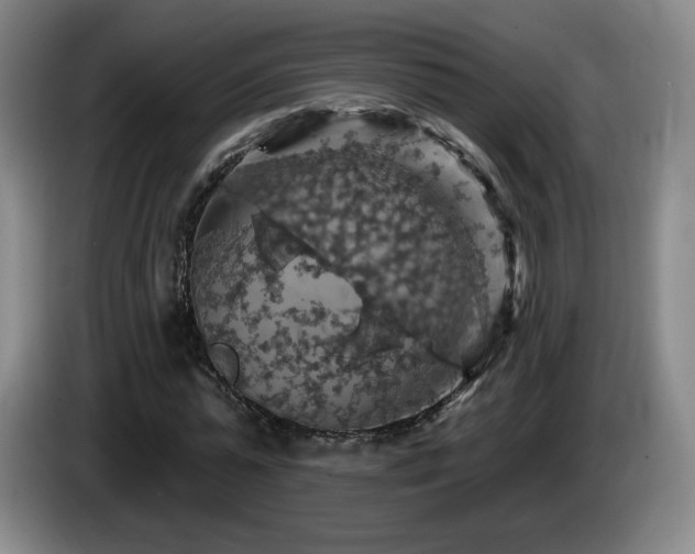 X0000085300775200703091431