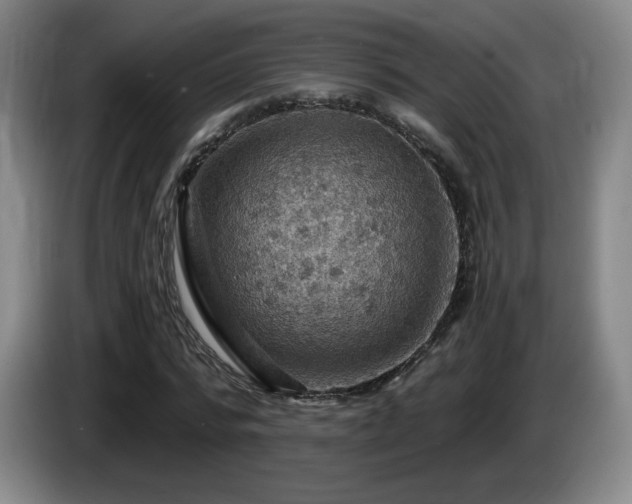 X0000085300776200703091431