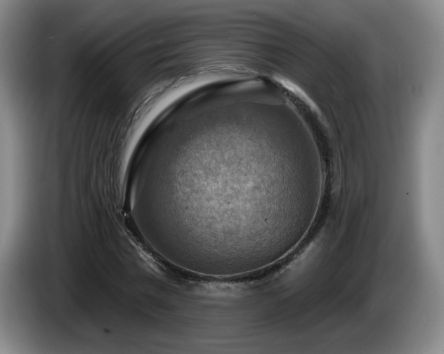 X0000085300777200703091431