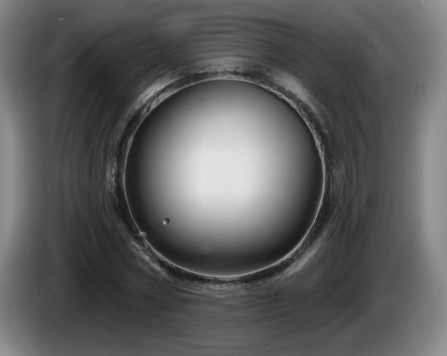 X0000085300778200703091431