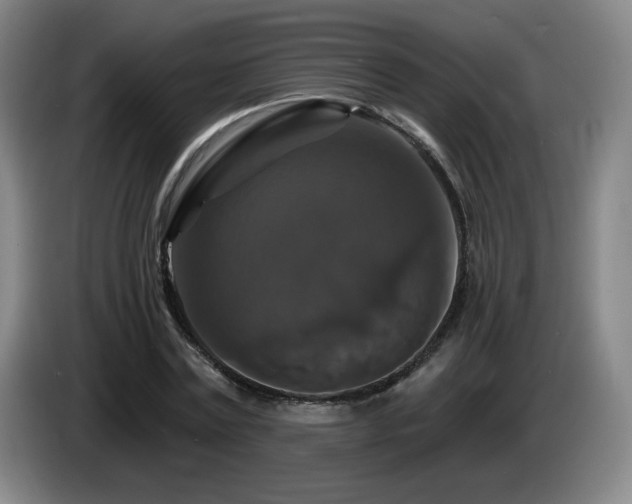 X0000085300779200703091431