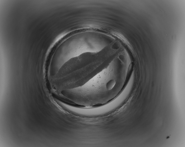 X0000085300780200703091431