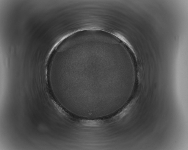 X0000085300781200703091431