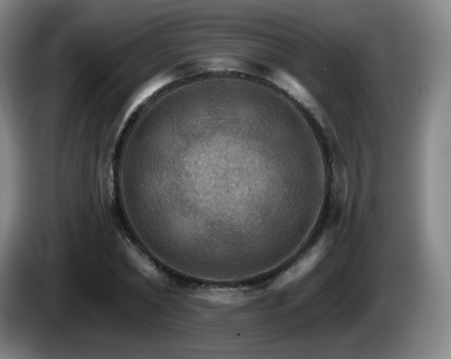 X0000085300782200703091431