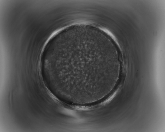 X0000085300783200703091431