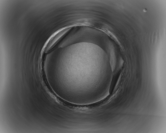 X0000085300784200703091431