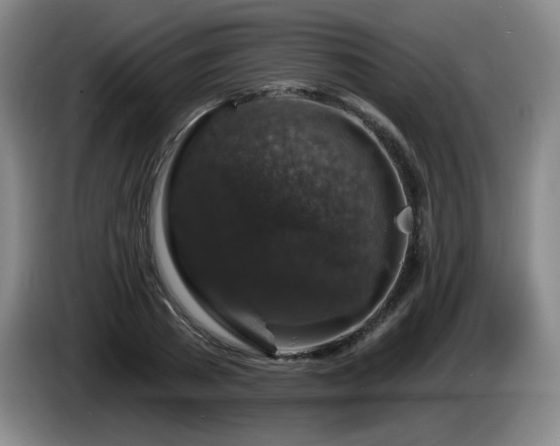 X0000085300785200703091431