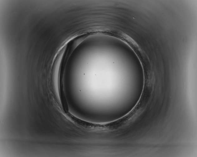 X0000085300786200703091431