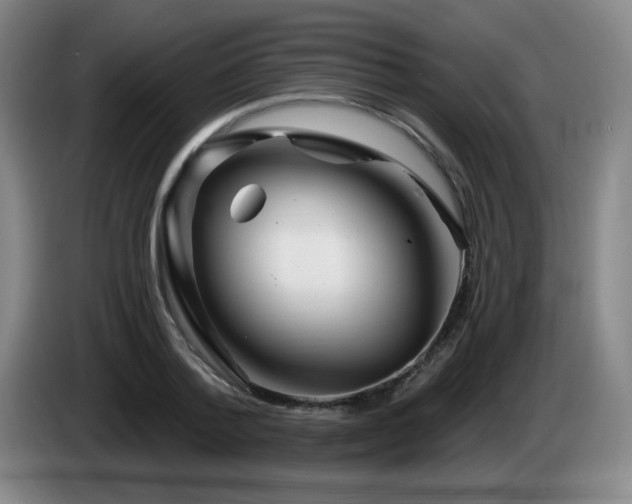 X0000085300788200703091431