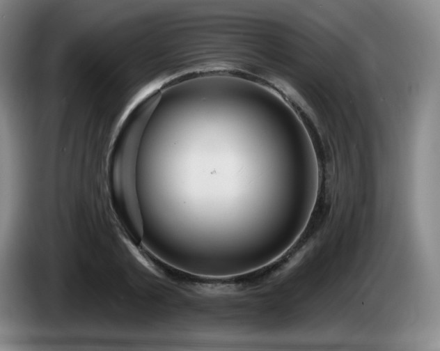 X0000085300789200703091431