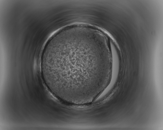 X0000085300791200703091431