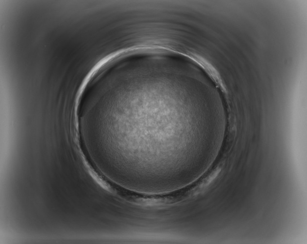 X0000085300792200703091431