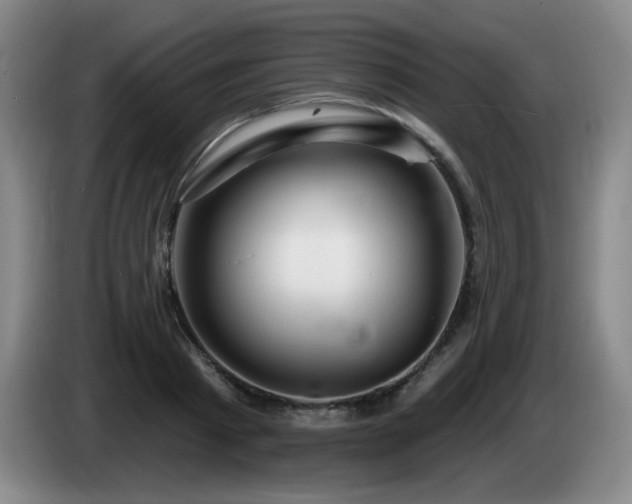 X0000085300793200703091431