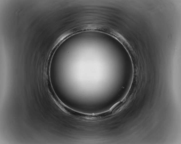 X0000085300794200703091431